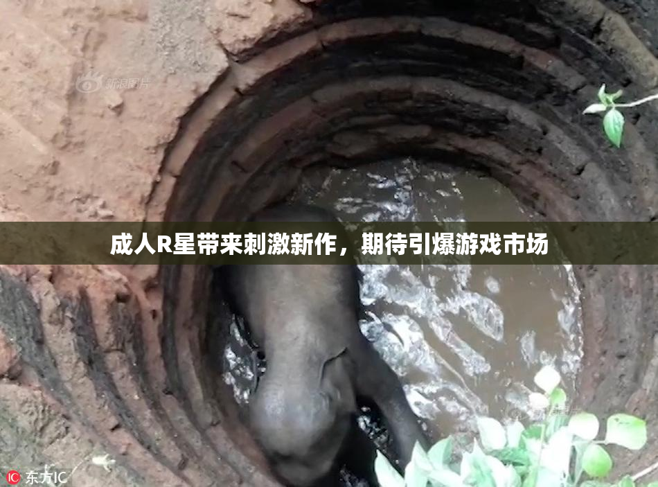 成人R星带来刺激新作，期待引爆游戏市场