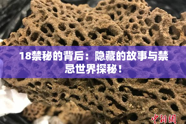 18禁秘的背后：隐藏的故事与禁忌世界探秘！