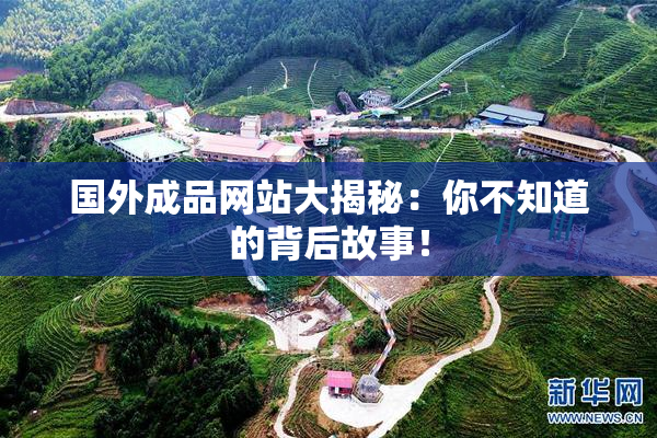 国外成品网站大揭秘：你不知道的背后故事！