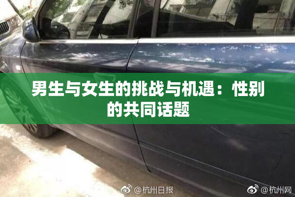 男生与女生的挑战与机遇：性别的共同话题