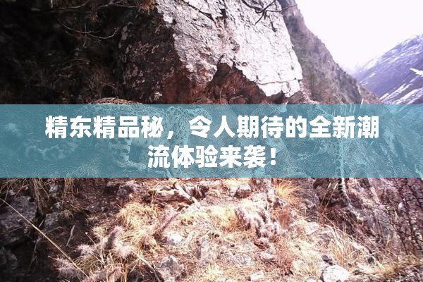 精东精品秘，令人期待的全新潮流体验来袭！