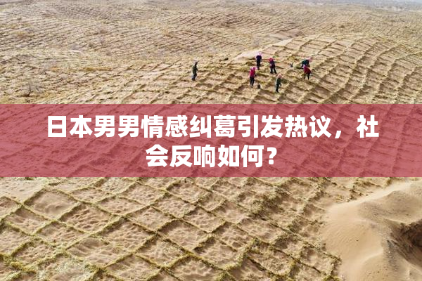 日本男男情感纠葛引发热议，社会反响如何？