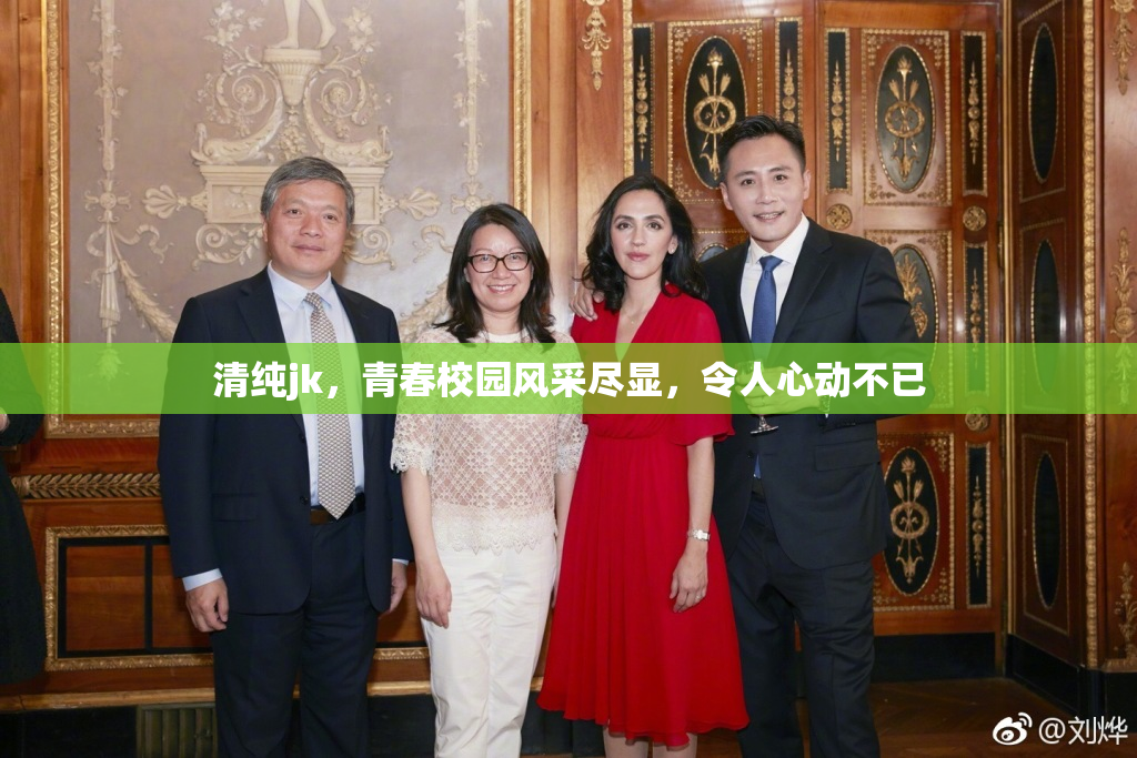清纯jk，青春校园风采尽显，令人心动不已
