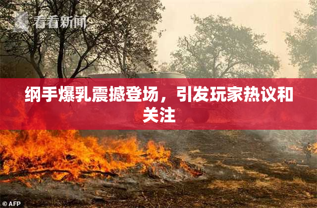 纲手爆乳震撼登场，引发玩家热议和关注