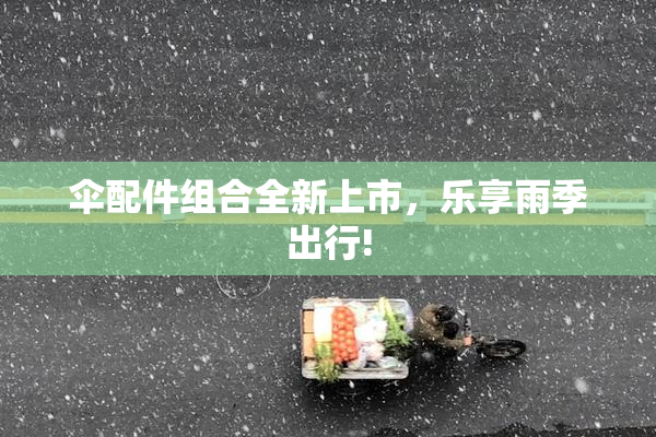 伞配件组合全新上市，乐享雨季出行!