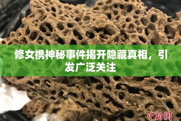 修女携神秘事件揭开隐藏真相，引发广泛关注