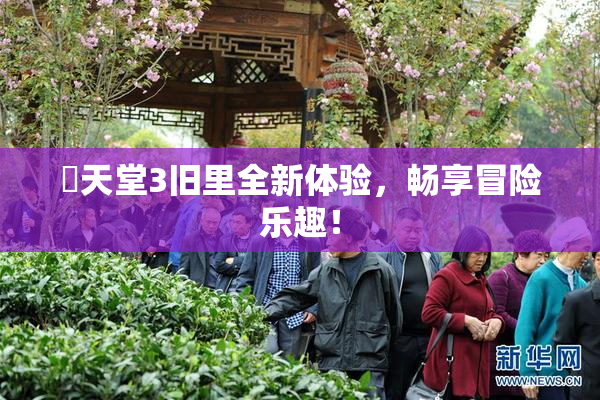 妺天堂3旧里全新体验，畅享冒险乐趣！