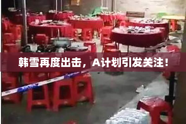 韩雪再度出击，A计划引发关注！