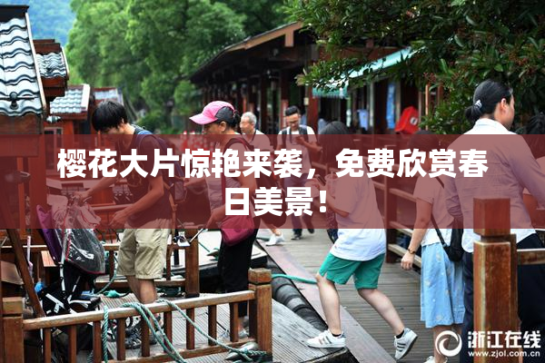 樱花大片惊艳来袭，免费欣赏春日美景！