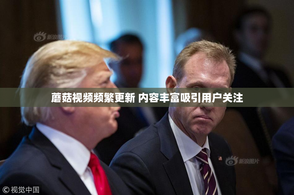 蘑菇视频频繁更新 内容丰富吸引用户关注