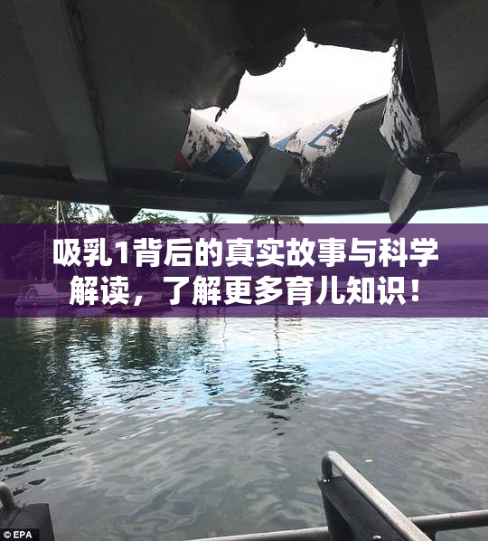 吸乳1背后的真实故事与科学解读，了解更多育儿知识！