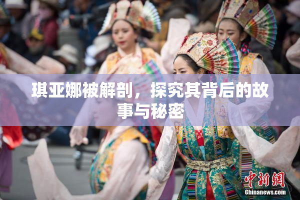 琪亚娜被解剖，探究其背后的故事与秘密