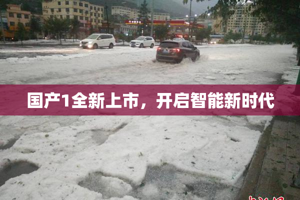 国产1全新上市，开启智能新时代
