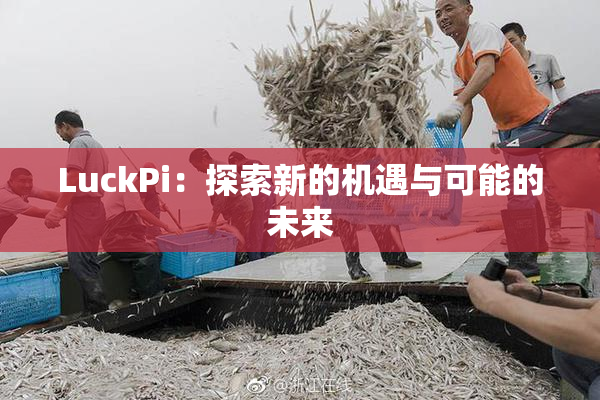 LuckPi：探索新的机遇与可能的未来