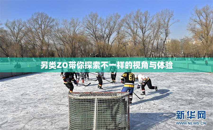 另类ZO带你探索不一样的视角与体验