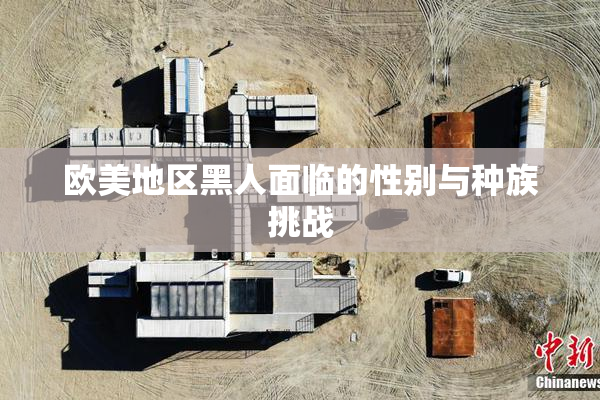 欧美地区黑人面临的性别与种族挑战