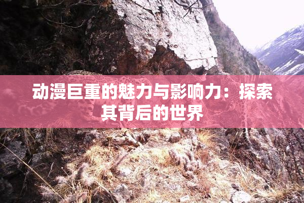 动漫巨重的魅力与影响力：探索其背后的世界
