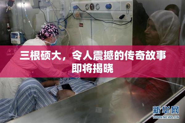 三根硕大，令人震撼的传奇故事即将揭晓