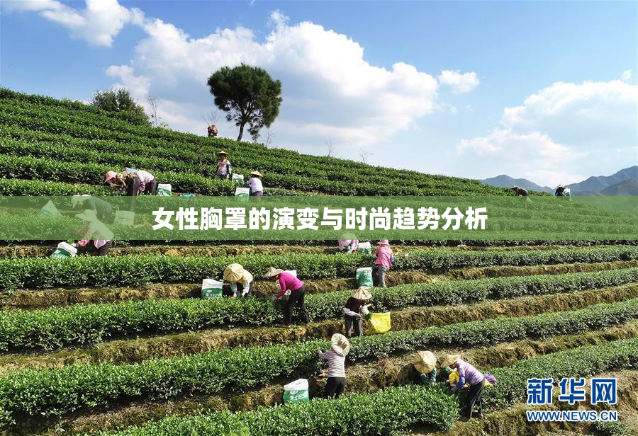 女性胸罩的演变与时尚趋势分析
