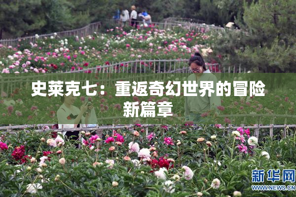 史莱克七：重返奇幻世界的冒险新篇章