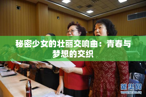 秘密少女的壮丽交响曲：青春与梦想的交织