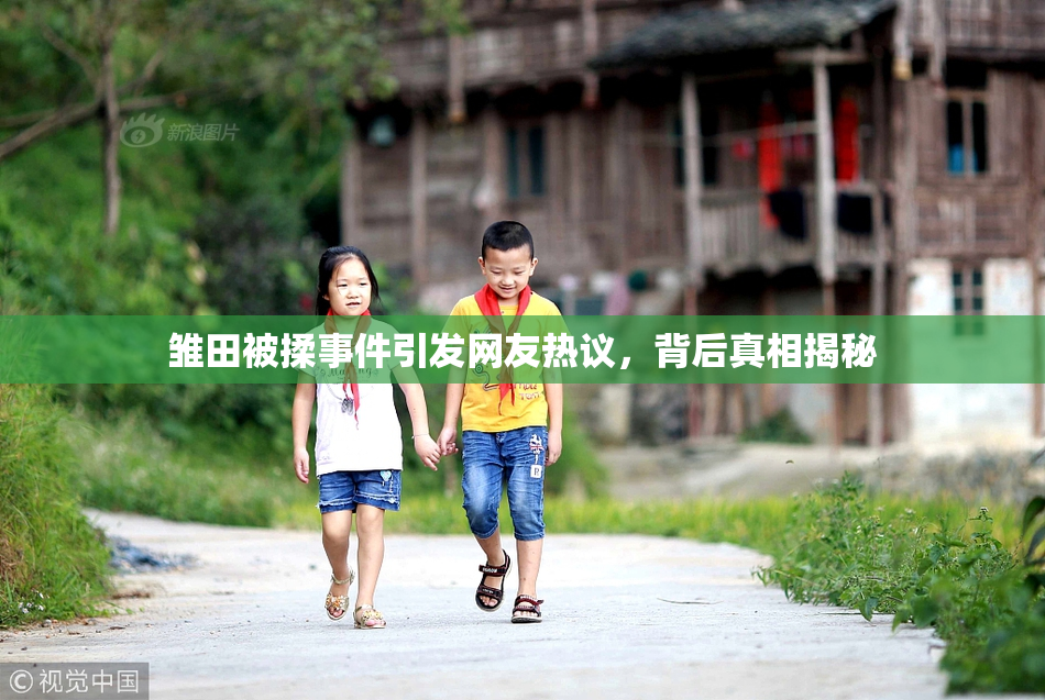 雏田被揉事件引发网友热议，背后真相揭秘