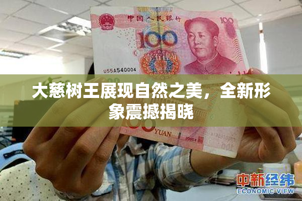 大慈树王展现自然之美，全新形象震撼揭晓