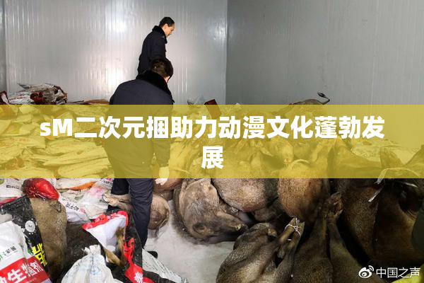 sM二次元捆助力动漫文化蓬勃发展