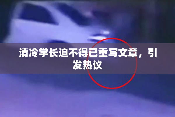 清冷学长迫不得已重写文章，引发热议