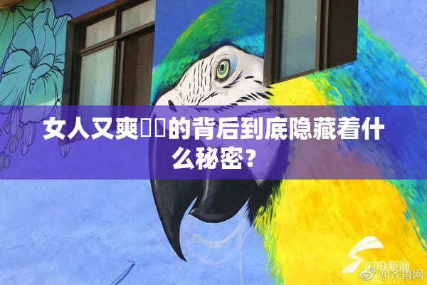 女人又爽❌‌的背后到底隐藏着什么秘密？