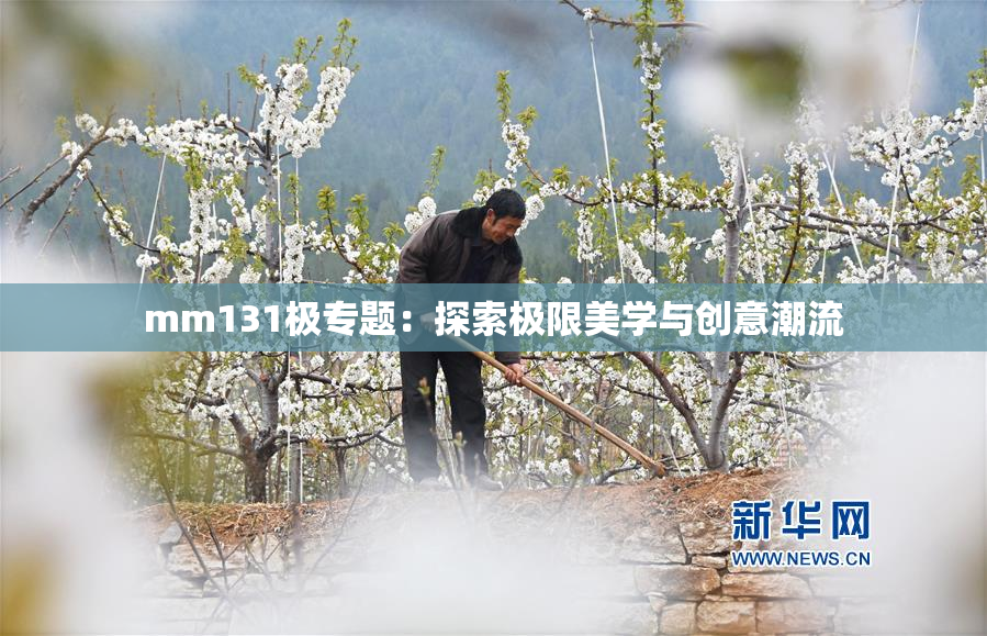 mm131极专题：探索极限美学与创意潮流