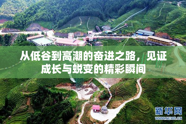 从低谷到高潮的奋进之路，见证成长与蜕变的精彩瞬间
