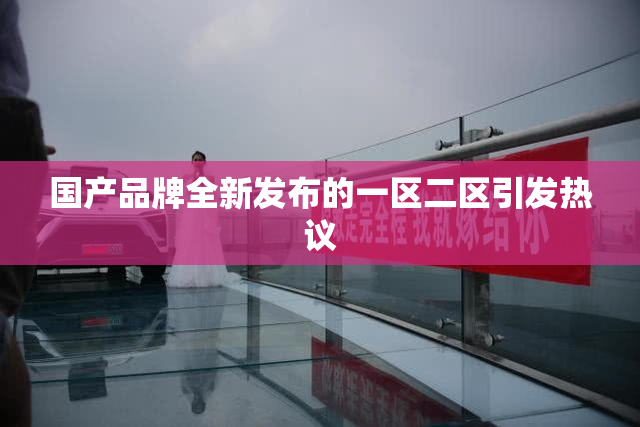 国产品牌全新发布的一区二区引发热议