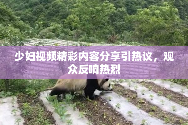 少妇视频精彩内容分享引热议，观众反响热烈