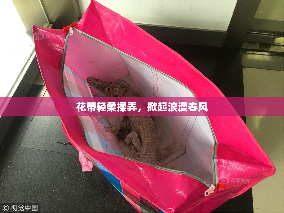 花蒂轻柔揉弄，掀起浪漫春风