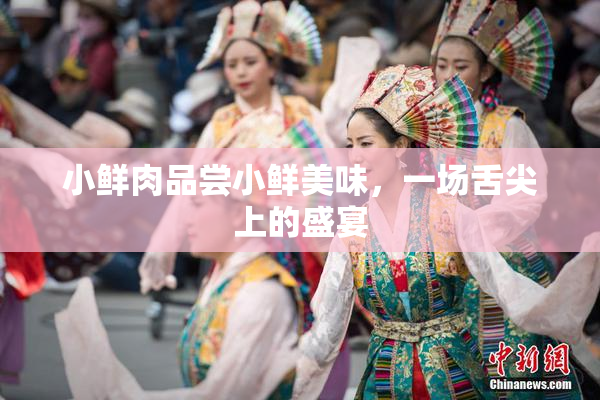 小鲜肉品尝小鲜美味，一场舌尖上的盛宴