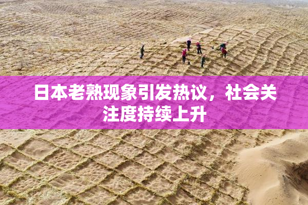 日本老熟现象引发热议，社会关注度持续上升