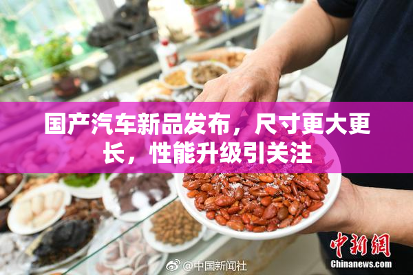 国产汽车新品发布，尺寸更大更长，性能升级引关注