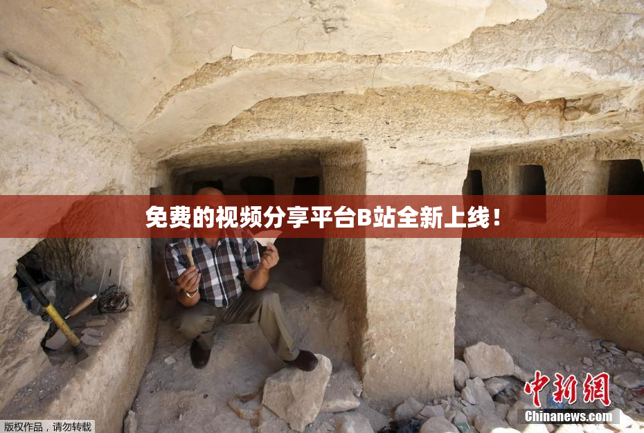 免费的视频分享平台B站全新上线！