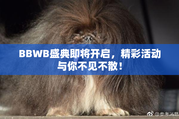 BBWB盛典即将开启，精彩活动与你不见不散！