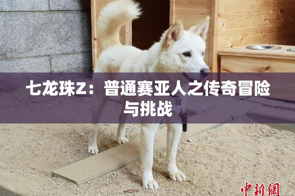 七龙珠Z：普通赛亚人之传奇冒险与挑战