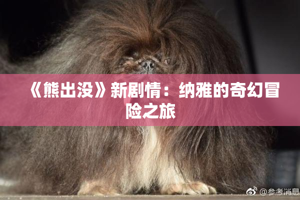 《熊出没》新剧情：纳雅的奇幻冒险之旅
