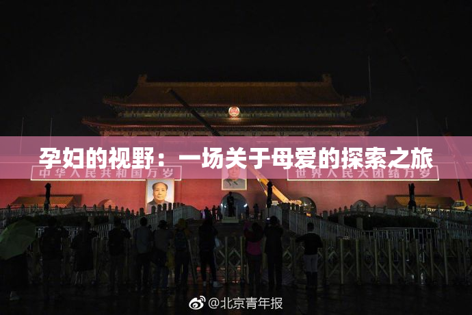 孕妇的视野：一场关于母爱的探索之旅