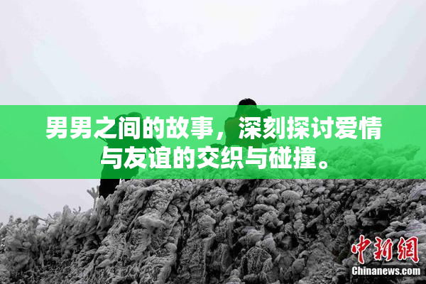 男男之间的故事，深刻探讨爱情与友谊的交织与碰撞。