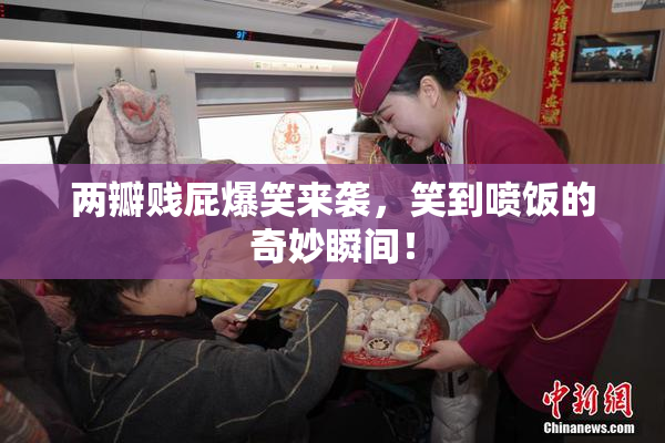 两瓣贱屁爆笑来袭，笑到喷饭的奇妙瞬间！