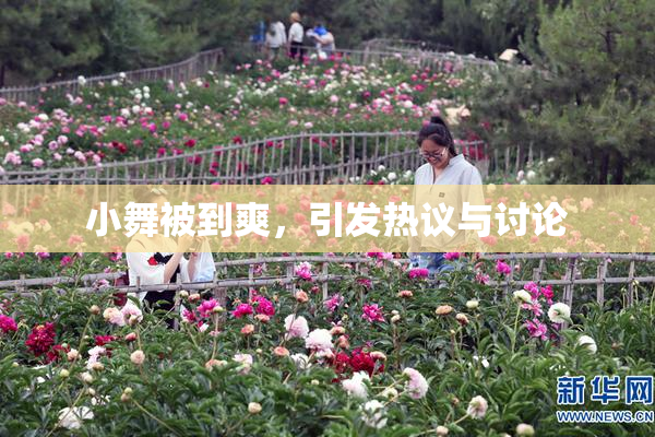 小舞被到爽，引发热议与讨论