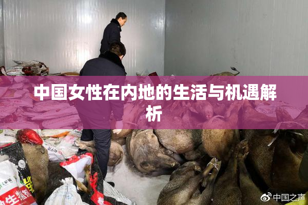 中国女性在内地的生活与机遇解析