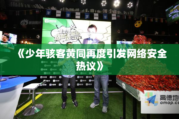 《少年骇客黄同再度引发网络安全热议》