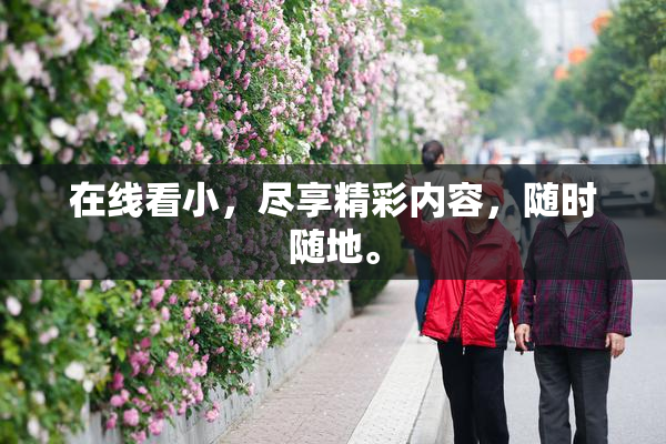 在线看小，尽享精彩内容，随时随地。