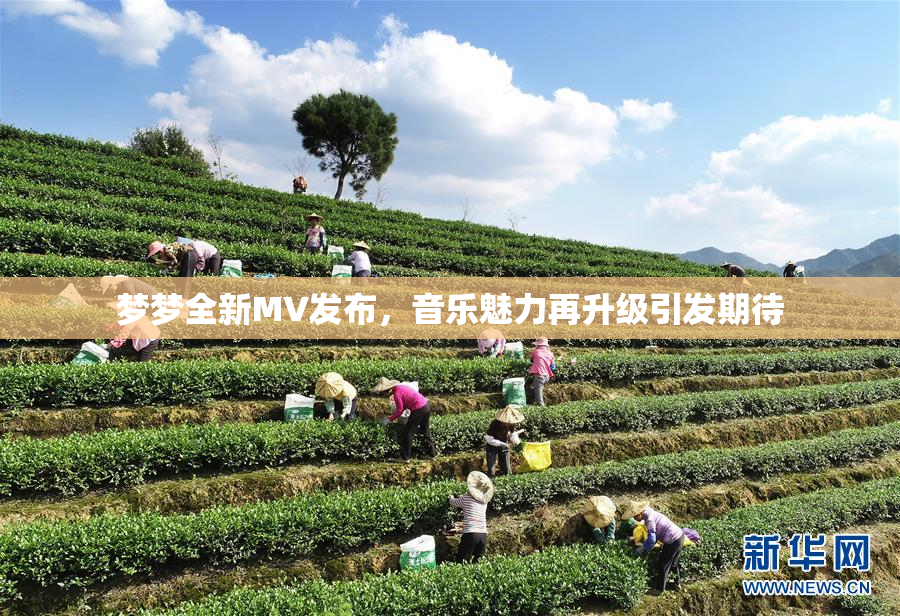 梦梦全新MV发布，音乐魅力再升级引发期待
